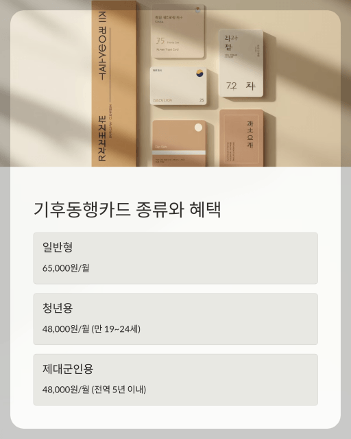 기후동행카드